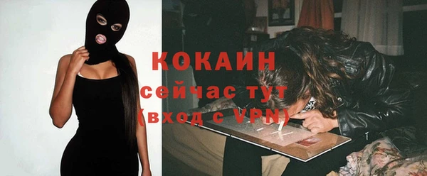 кокс Алексин