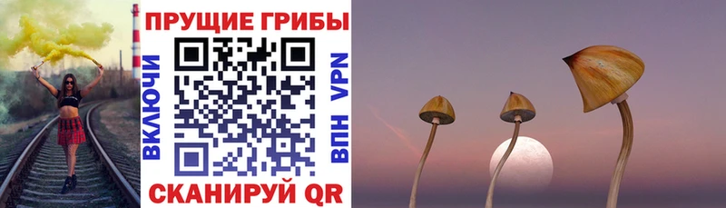 мориарти наркотические препараты  Усинск  Псилоцибиновые грибы мухоморы 